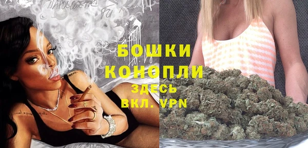 прущая мука Дмитриев