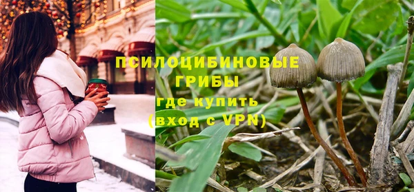 прущая мука Дмитриев