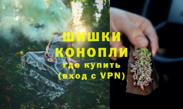 прущая мука Дмитриев