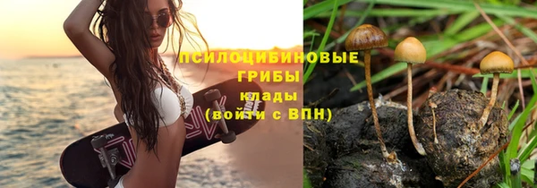 мескалин Дмитров