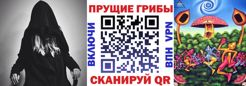 Псилоцибиновые грибы Cubensis  это наркотические препараты  Ильский 
